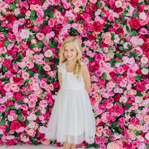 Angie Lace Bodice Dress Ivory