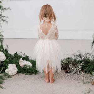 Sophie Long Sleeve Lace Bodice Tutu Dress Ivory